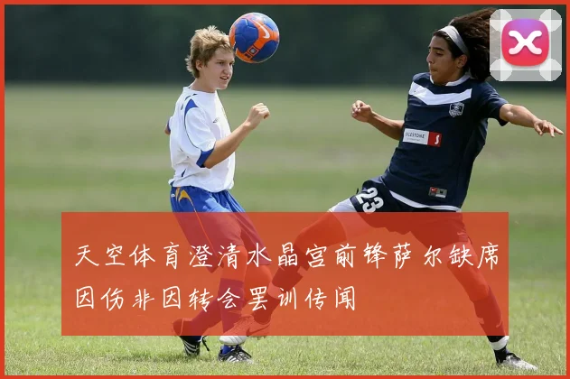 天空体育澄清水晶宫前锋萨尔缺席因伤非因转会罢训传闻