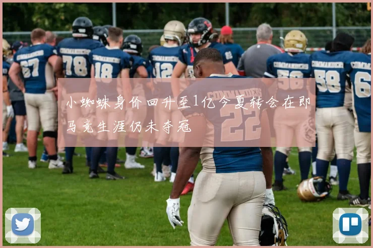 小蜘蛛身价回升至1亿今夏转会在即马竞生涯仍未夺冠
