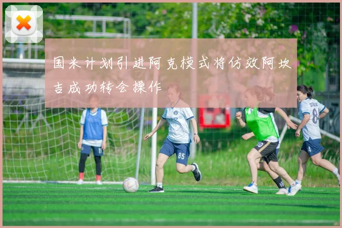 国米计划引进阿克模式将仿效阿坎吉成功转会操作