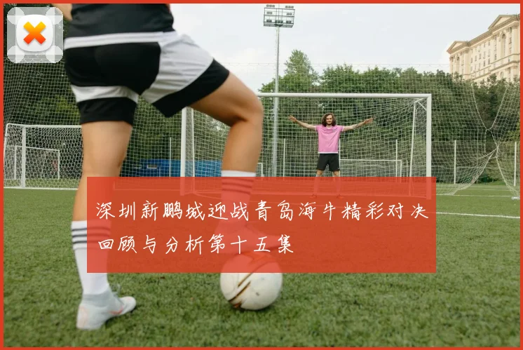 深圳新鹏城迎战青岛海牛精彩对决回顾与分析第十五集